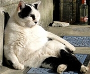 ファミコンブログ管理人